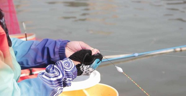 如何钓黑坑滑口鲤鱼和回锅鱼