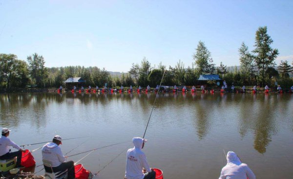 如何钓黑坑滑口鲤鱼和回锅鱼