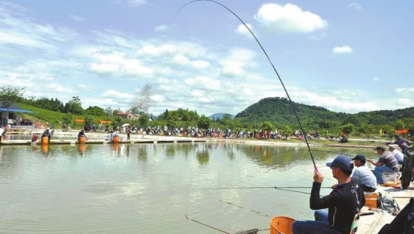 如何钓黑坑滑口鲤鱼和回锅鱼