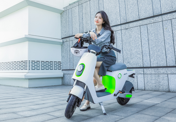 质量最好的电动车排名