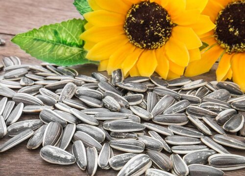 瓜子是怎么来的