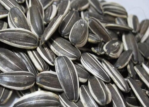 瓜子是怎么来的