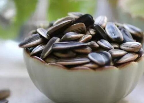 瓜子是怎么来的
