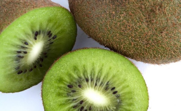 猕猴桃种植有几个阶段图片