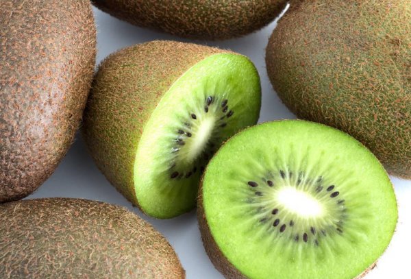 猕猴桃种植有几个阶段图片