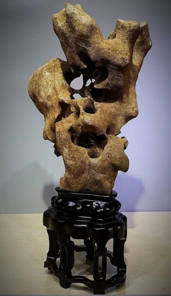 太湖石特点和作用有哪些