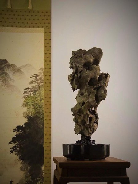 太湖石特点和作用有哪些