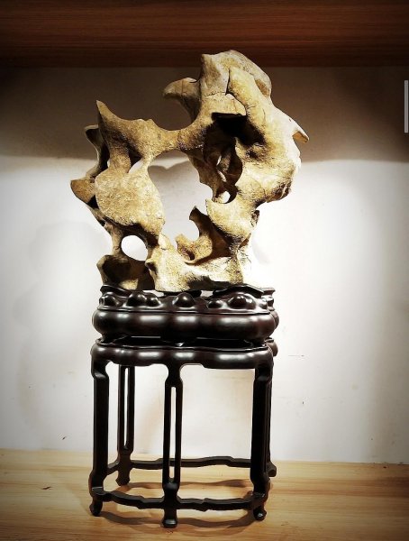 太湖石特点和作用有哪些