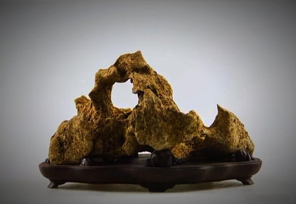 太湖石特点和作用有哪些