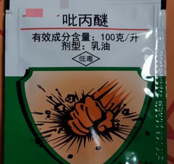 蔬菜大青虫用什么药杀死