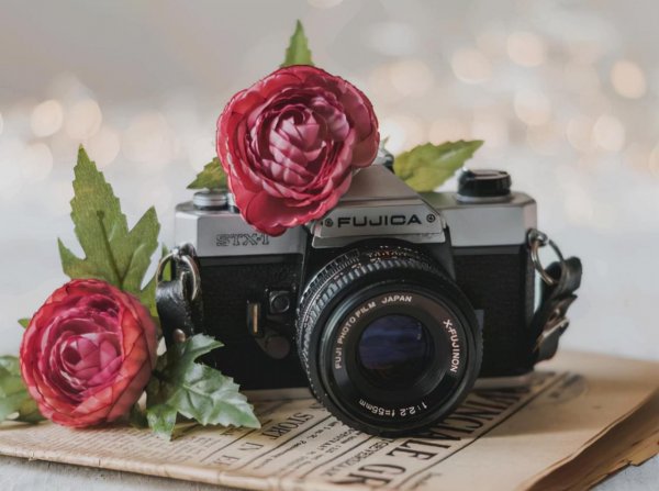 狮子和水瓶女合适吗