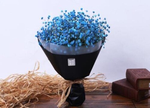 满天星所有颜色的花语和寓意