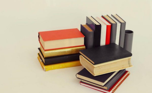 武亦姝个人资料简介