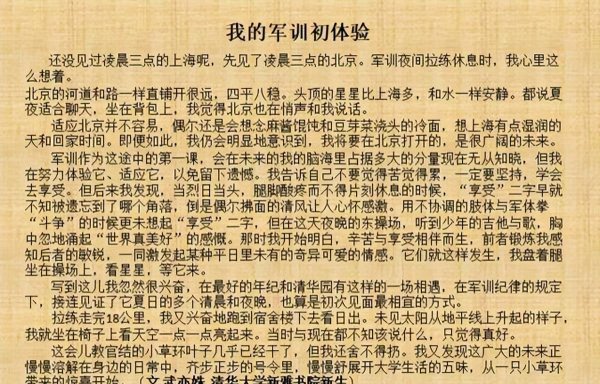 武亦姝个人资料简介