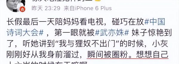 武亦姝个人资料简介