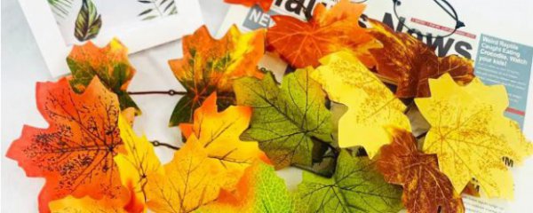 家里摆枫树摆件可以吗