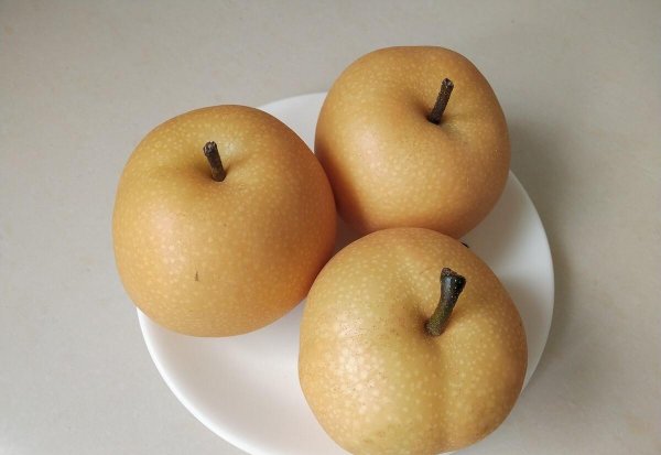 贡梨和雪梨的区别