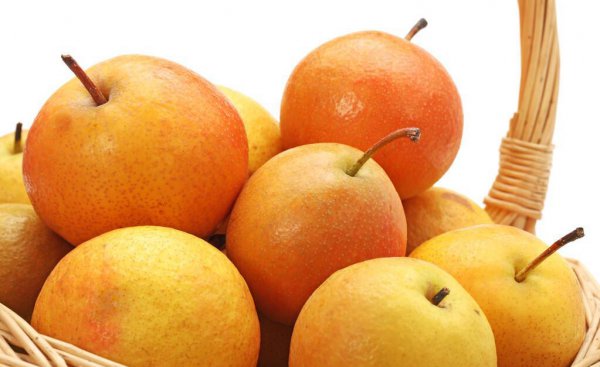 贡梨和雪梨的区别