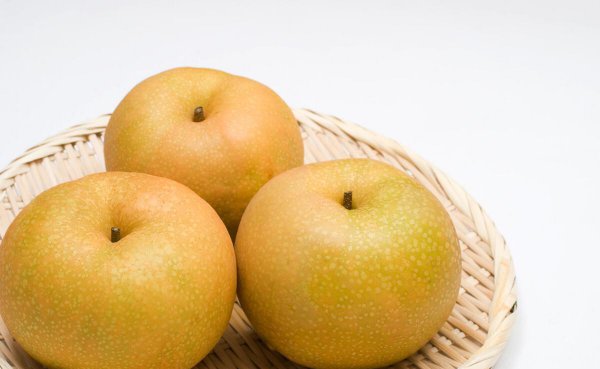 贡梨和雪梨的区别