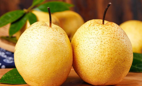 贡梨和雪梨的区别