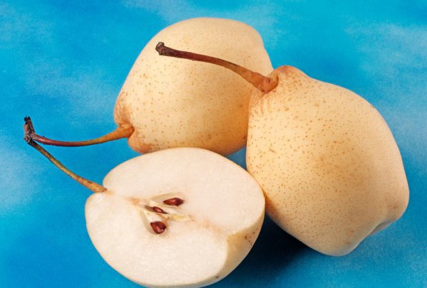 贡梨和雪梨的区别