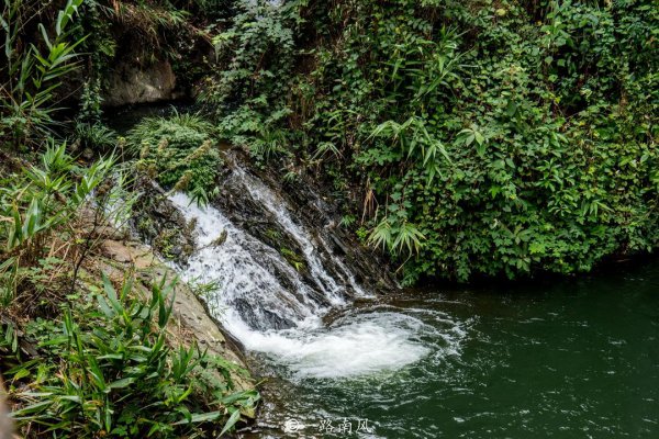 广东省哪个市面积最大