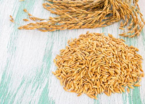 安徽晚稻什么时候收割