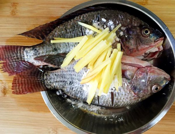 鲤鱼的鱼腥线怎么去除掉