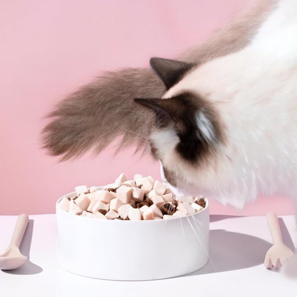 布偶猫是什么猫杂交的