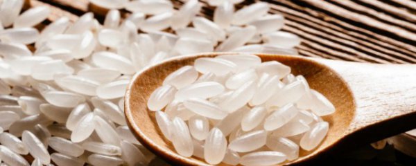 大米泡几天能发芽出米