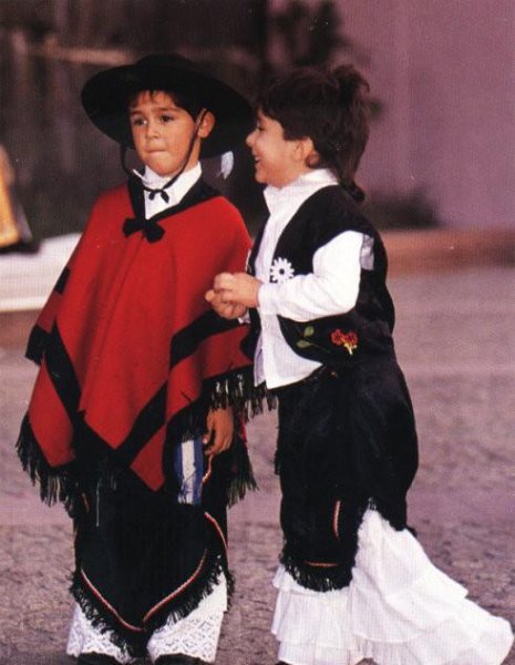 智利在哪个洲的位置