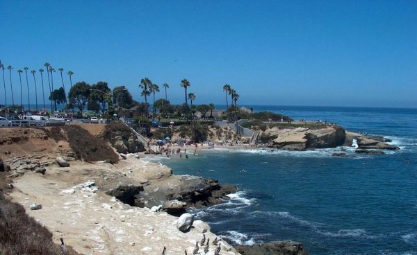 智利在哪个洲的位置