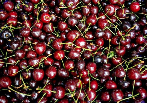 黑樱桃是车厘子吗