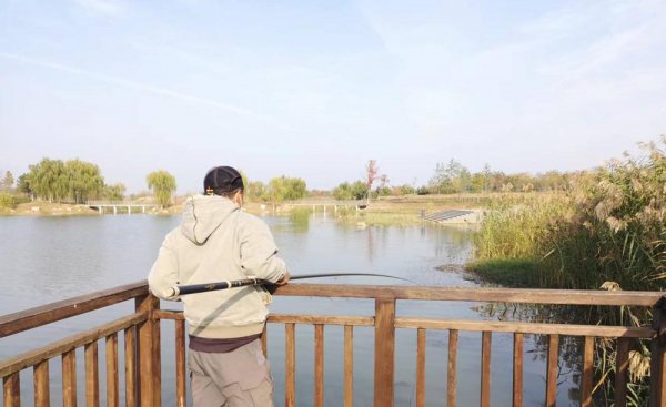 冬季专钓大鲫鱼偏方