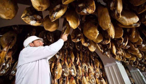 西班牙火腿是什么动物的腿