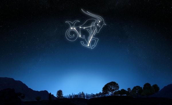 摩羯女为什么被很多男生喜欢