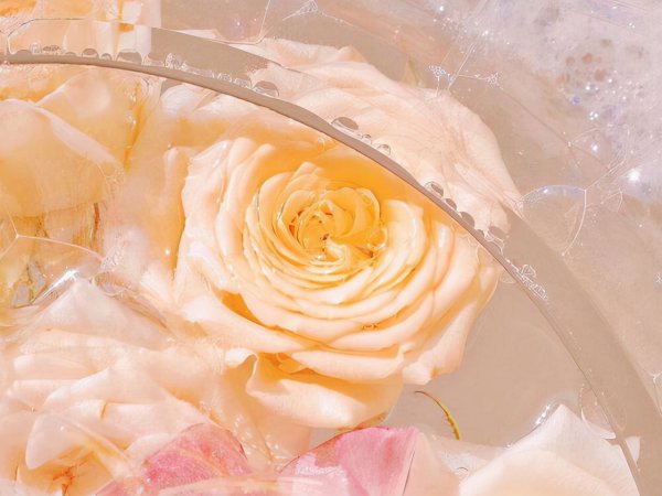 巨蟹女的致命弱点都有什么