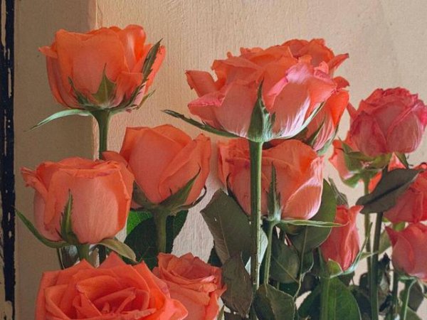 巨蟹女的致命弱点都有什么