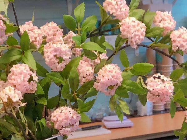 巨蟹女的致命弱点都有什么