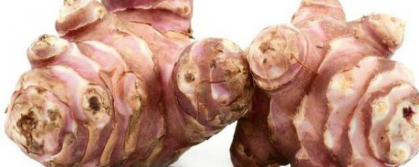 阴凉地方适合种植什么蔬菜