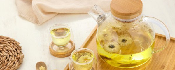 女生夏天适合喝什么茶