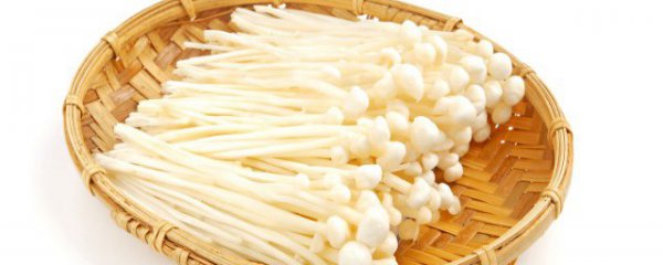 火锅金针菇煮多久能吃吗