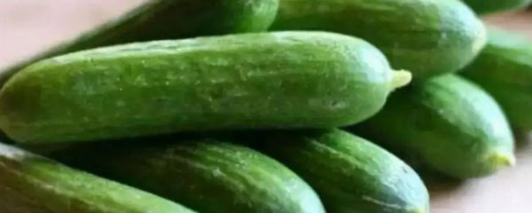 地黄瓜哪些人不宜吃