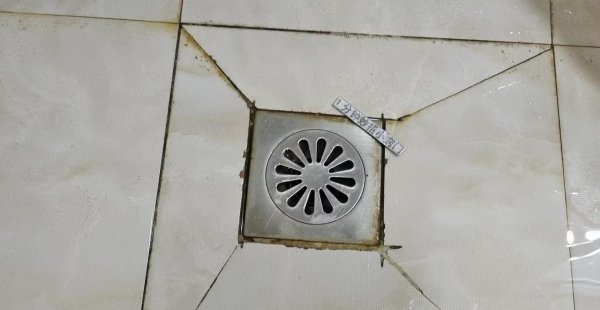 厕所下水道反味特别严重怎么办