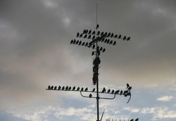 回南天空调除湿有用吗