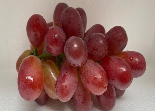 葡萄有哪些品种名字