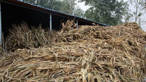 有机肥是什么东西做的