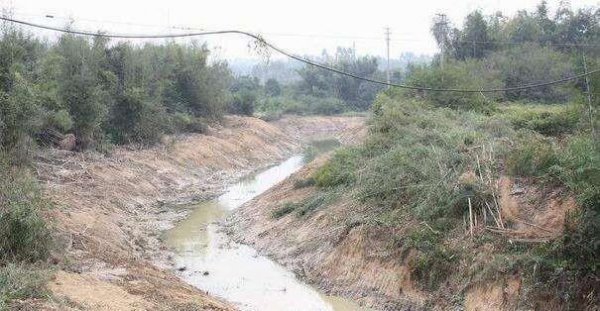 有机肥是什么东西做的