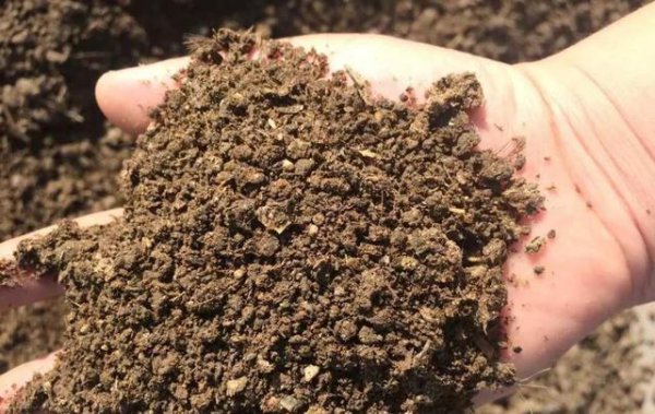 有机肥是什么东西做的