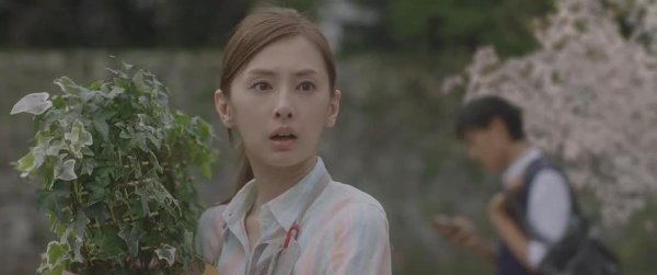 墨菲定律啥意思含义